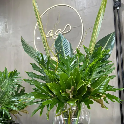 Arreglo de verde helios